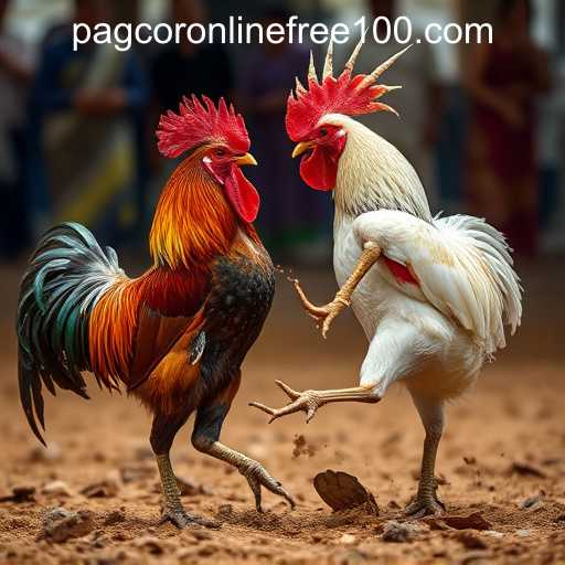 The Cultural and Economic Impacts of Cockfighting